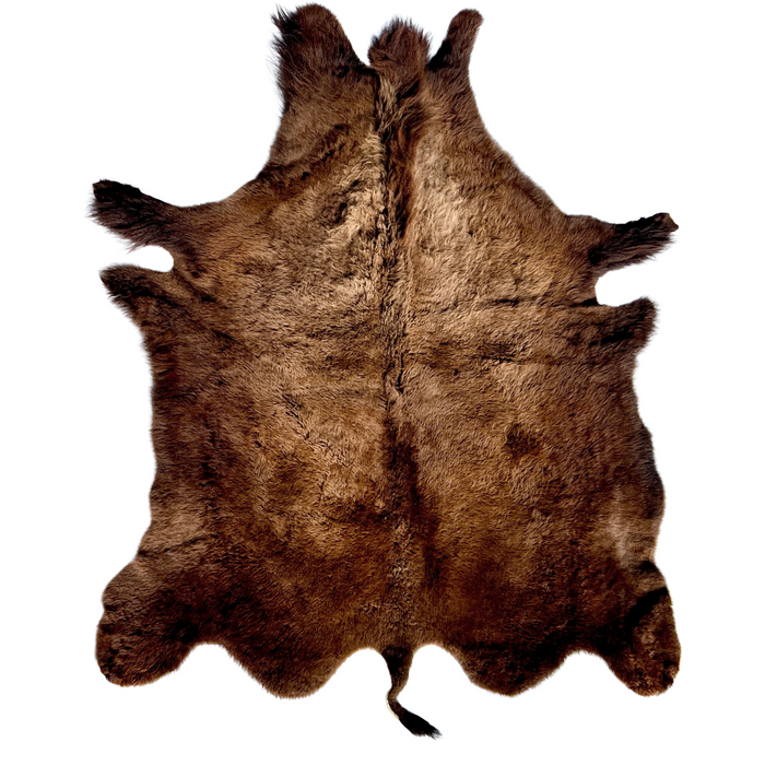 Buffalo / Bison Rug Hide - Deluxe - LARGE - 006
