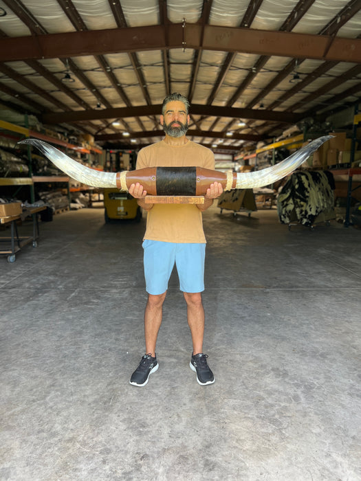 Mounted Polished Steer Horns - 5’ Long