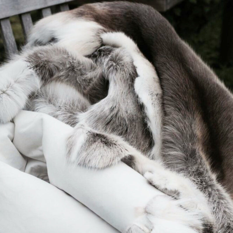 Reindeer Hide, Throws + Blankets