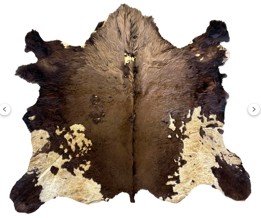 Buffalo / Bison Rug Hide - Third Grade