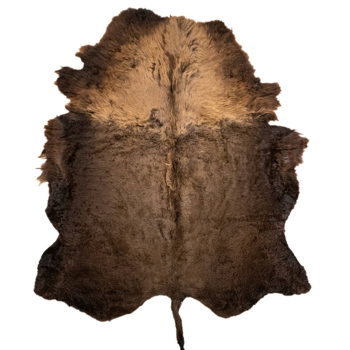 How Do I Clean My Bison Hide? — Buffalo Depot