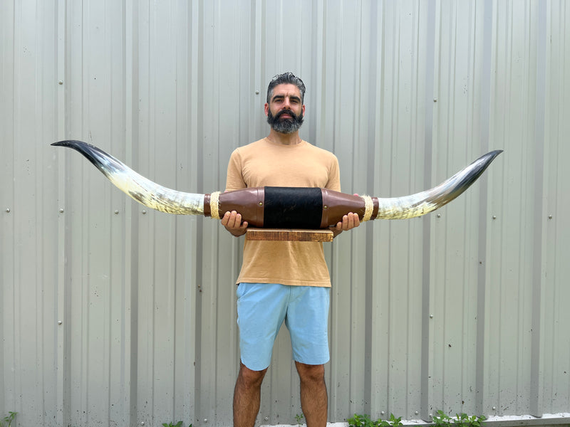 Mounted Polished Steer Horns - 5’ Long