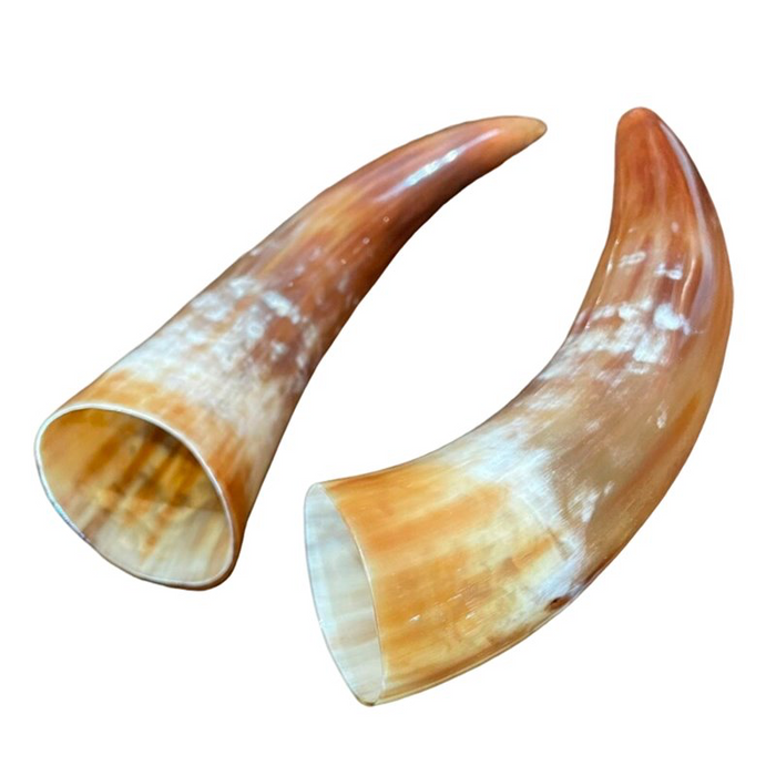 Polished Cow Horn Drinking Cup – Handcrafted from 100% Real Cow Horn