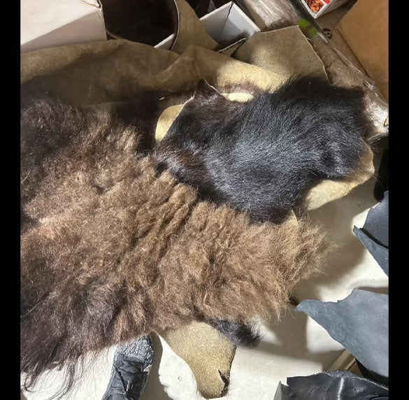 American Bison Scraps By The Pound