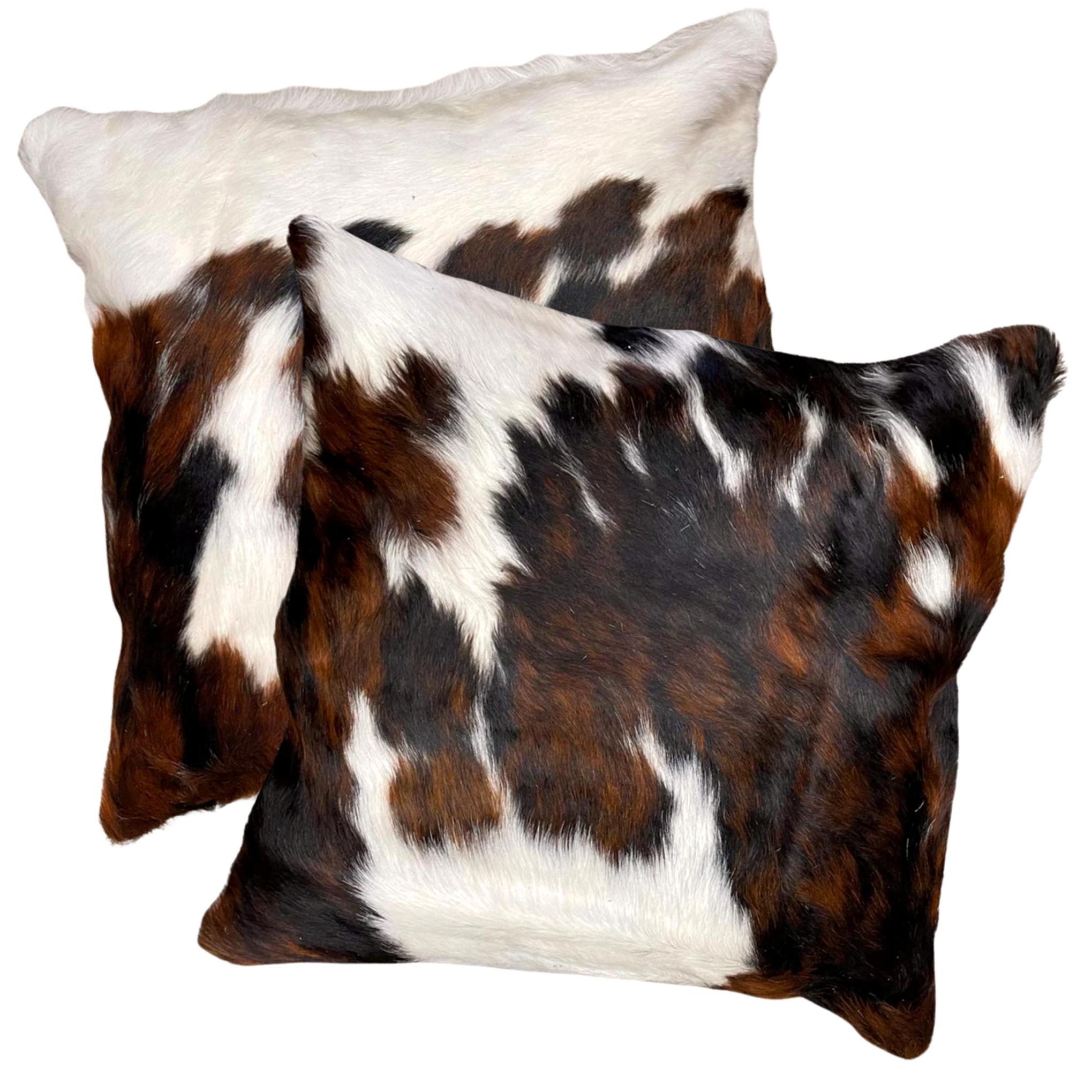 Golden Buffalo Decorative Wool Pillow
