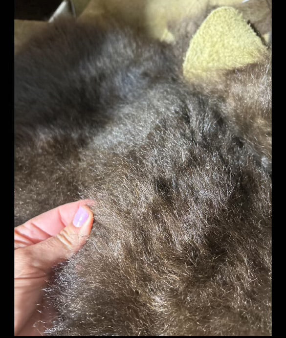 American Bison Scraps By The Pound