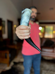 Polished cow horn 