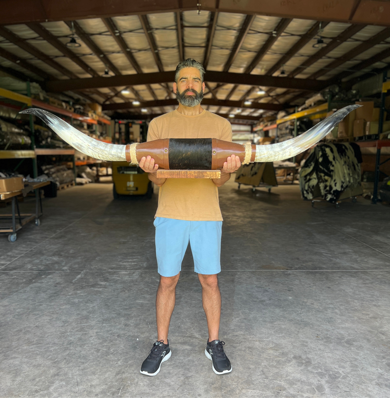 Mounted Polished Steer Horns - 5’ Long