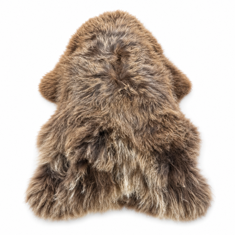 Blonde and Black Plush Icelandic Sheepskin