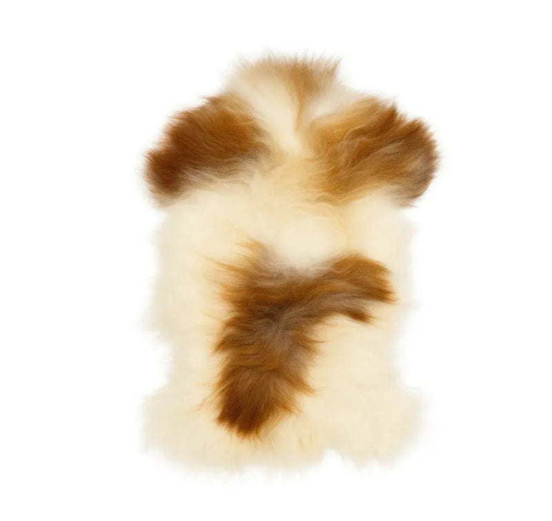 White and Caramel Brown Plush Icelandic Sheepskin