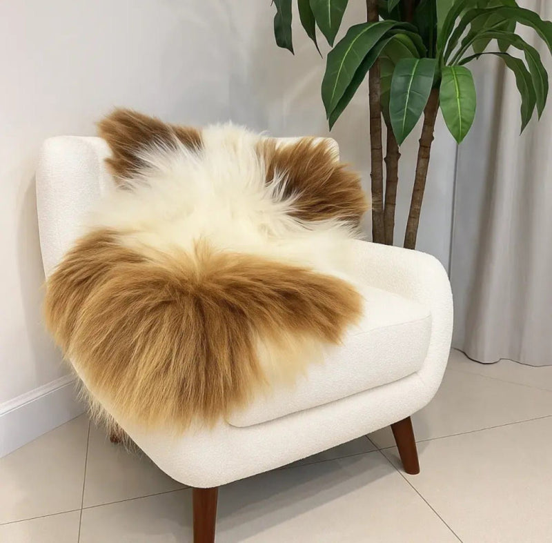 White and Caramel Brown Plush Icelandic Sheepskin