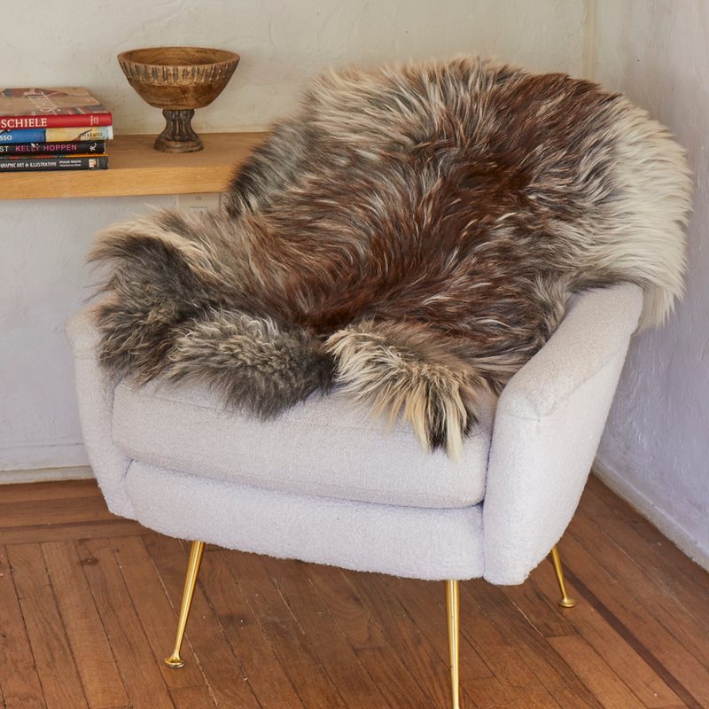 Blonde and Black Plush Icelandic Sheepskin