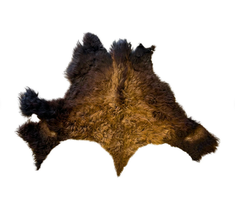 American Bison Large Scraps