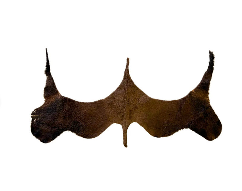 American Bison Large Scraps