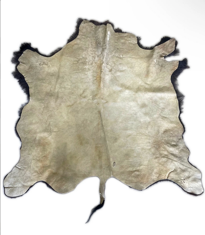 Buffalo / Bison Rug  Hide - Third Grade
