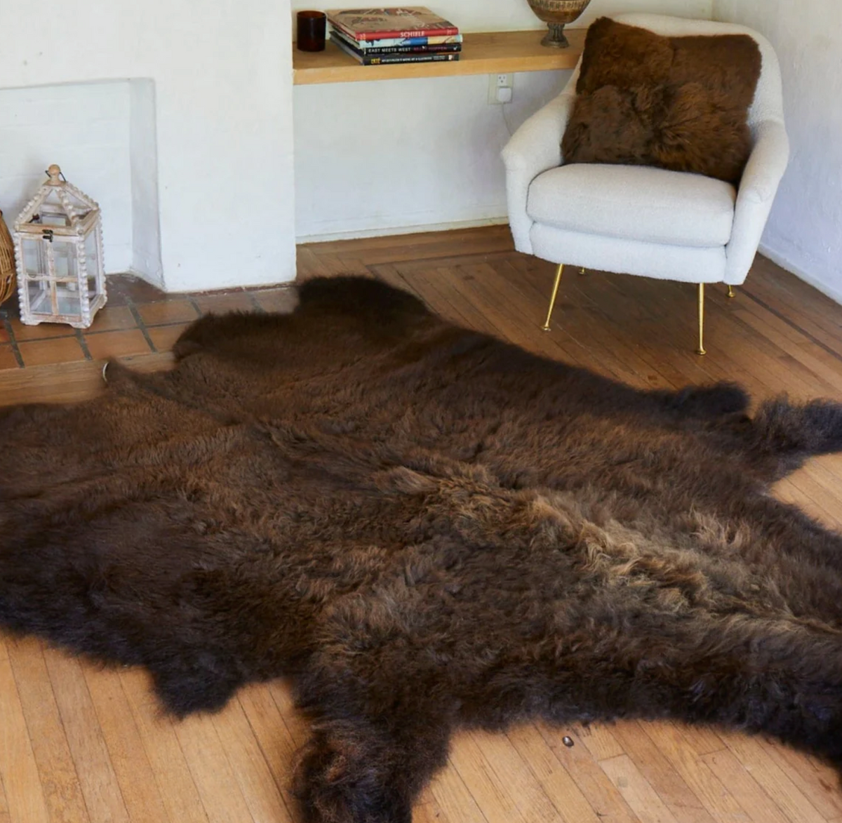 Mounted Buffalo Robe Bison Robes & Hides — Buffalo Depot