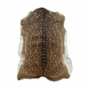 A second-grade Axis deer hide with a distinctive pattern of rich brown tones and striking white spots.