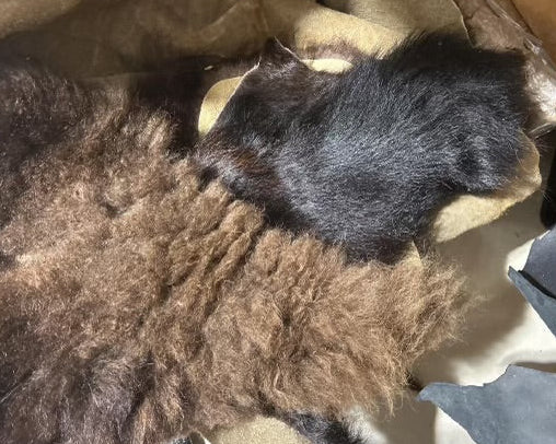 Assortment of American Bison scraps in varying sizes, with a mix of brown and black colors, displayed on a table.