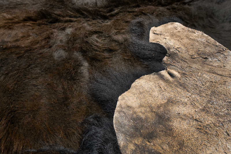 Buffalo / Bison Rug Hide - Second Grade Deluxe (Some Hairless Patches) - Large