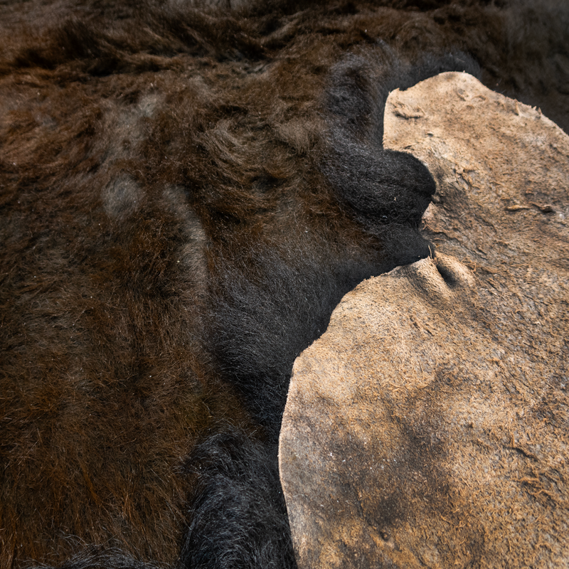 Buffalo / Bison Rug Hide - Second Grade Good Deluxe (Light Markings) - Large