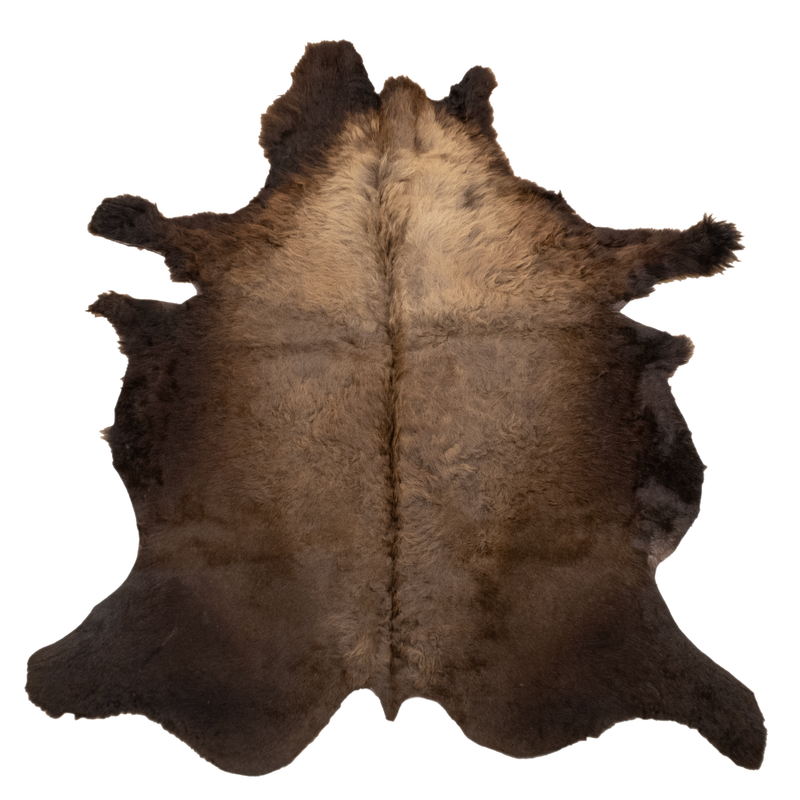 Buffalo / Bison Rug & Hide - FIRST GRADE  - Large