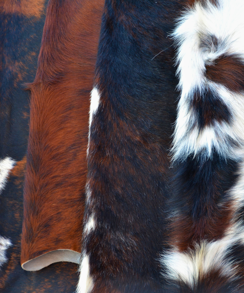Close-up of a cowhide rug with brown, black, and white patterns.